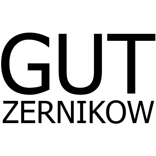 cropped-GUT-ZERNIKOW-SCHWARZ-quadrat-typo-schwarz-bg-transparent-512px.png